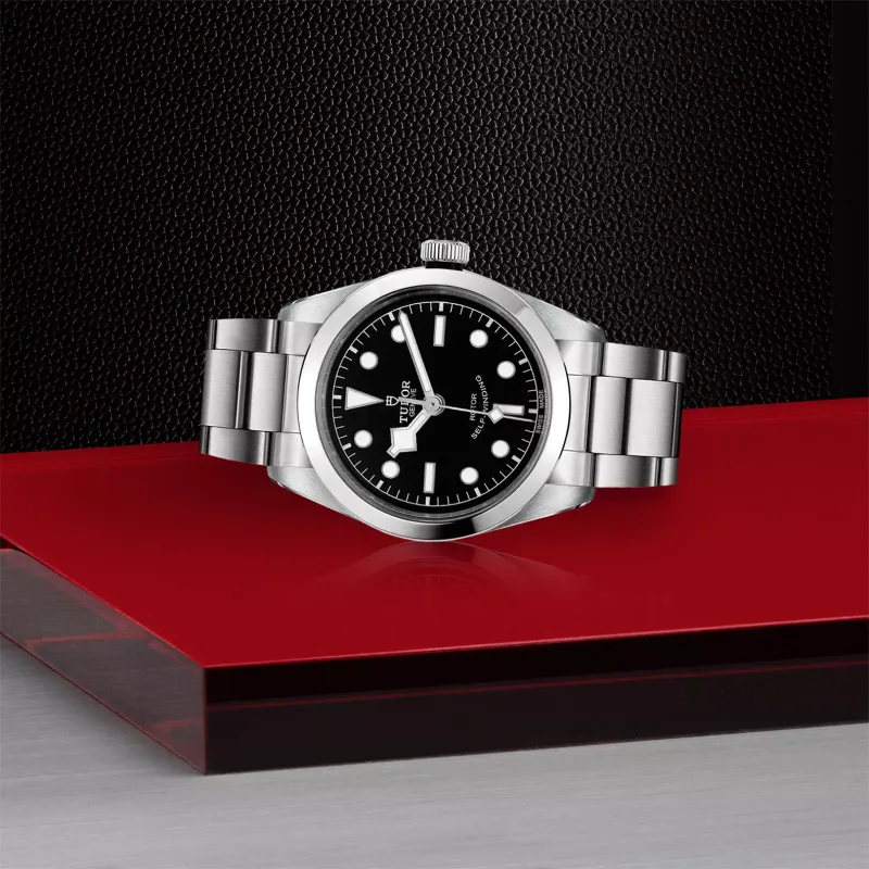 Tudor Black Bay 36 79500/95750PI
