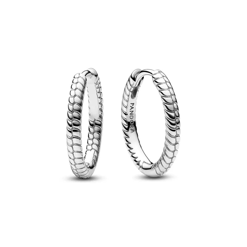 Pandora Moments Charm Hoop Earrings 292728C00