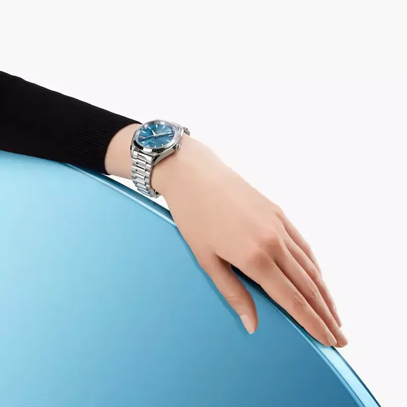 Omega Seamaster Aquaterra Shades 22010342003002