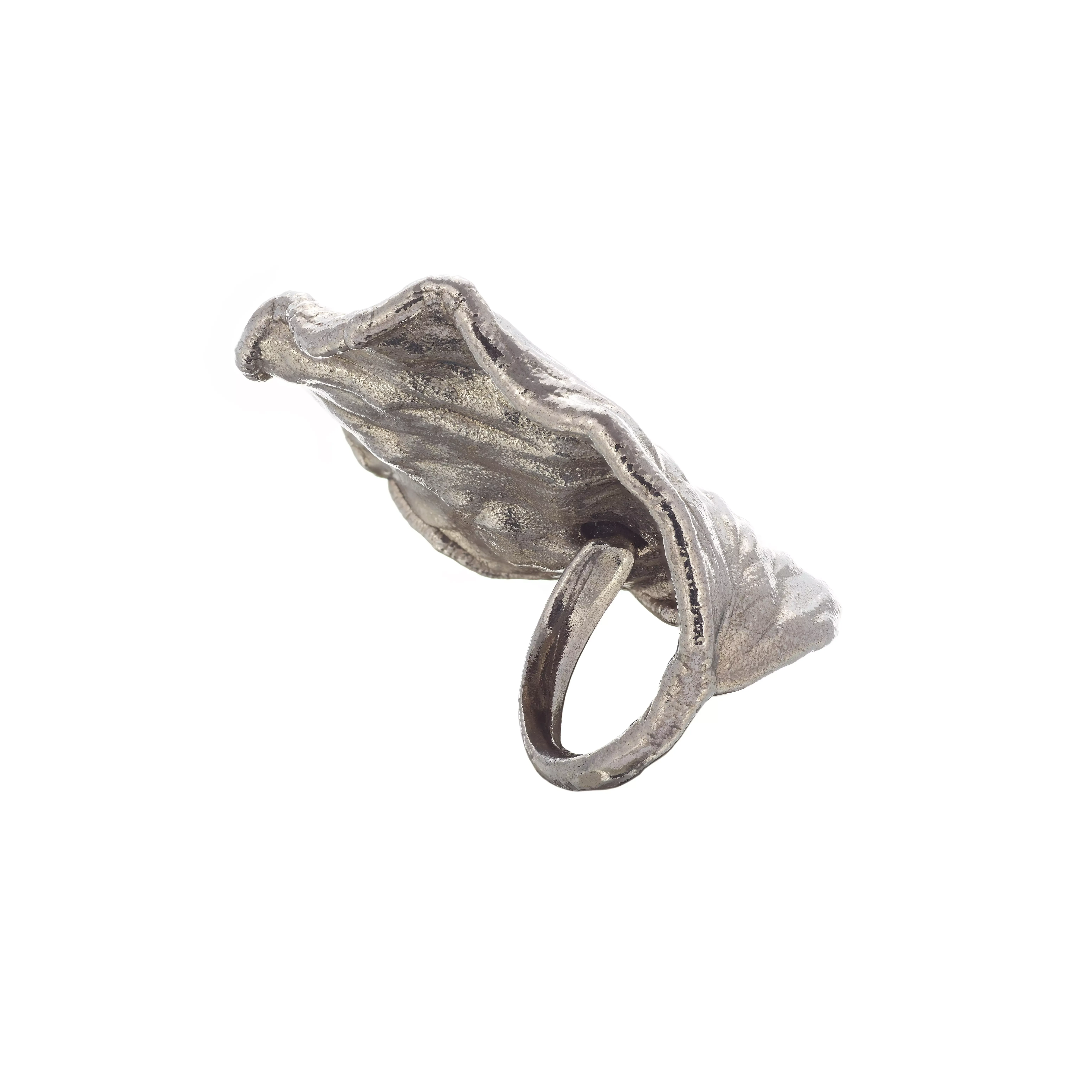 Imagem Anel Carmela Del Pizzo em Prata