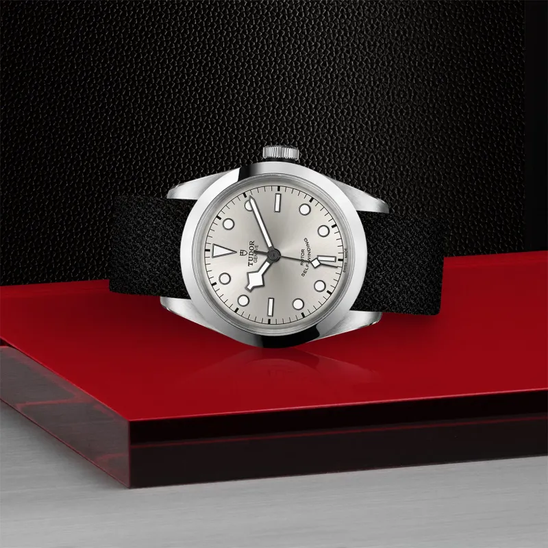 Tudor Black Bay 41 M79540-0012