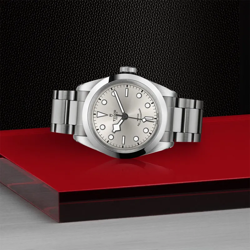 Tudor Black Bay 41 M79540-0011