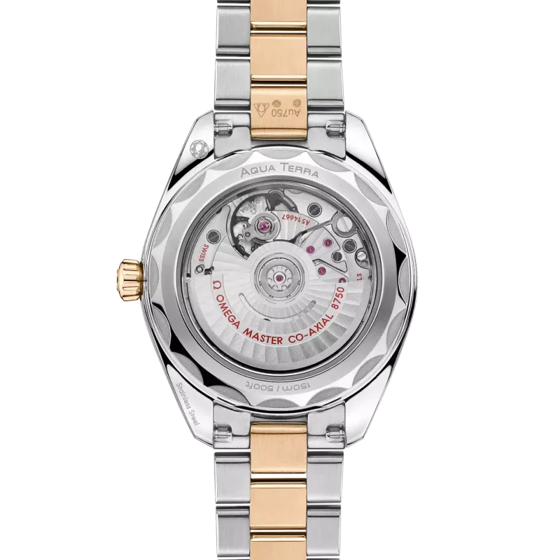 Omega Seamaster Aqua Terra 150M 22020302002001