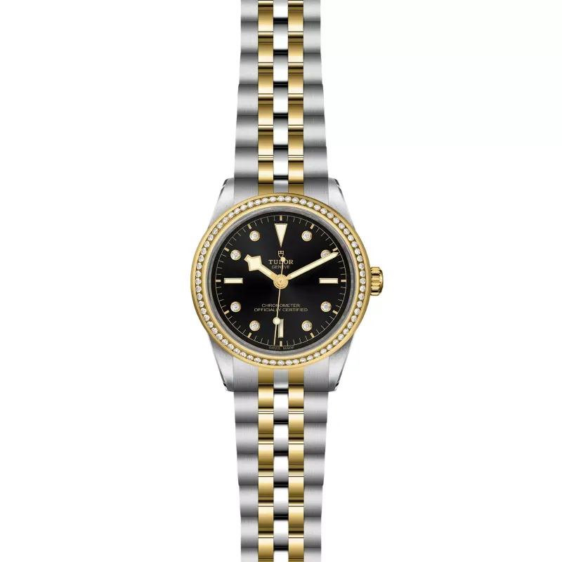 Tudor Black Bay 39 S&G M79673-0005