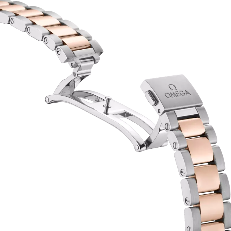 Omega Seamaster Aqua Terra 150M 22020342003001