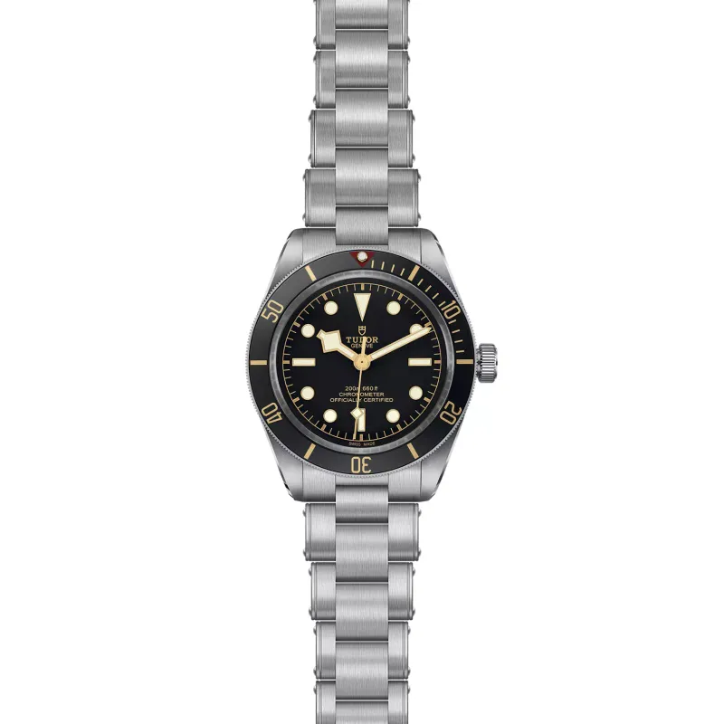 TUDOR Black Bay 58 79030N/72040PI