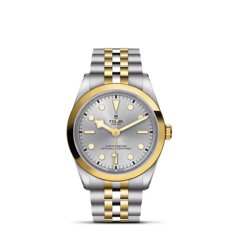 Tudor Black Bay 36 S&G M79643-0002