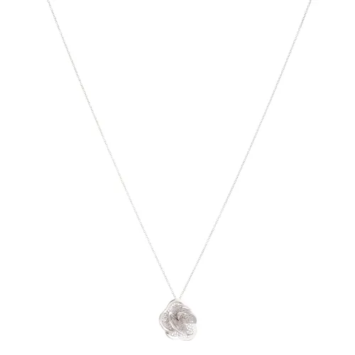 Imagem Colar Ouro Branco