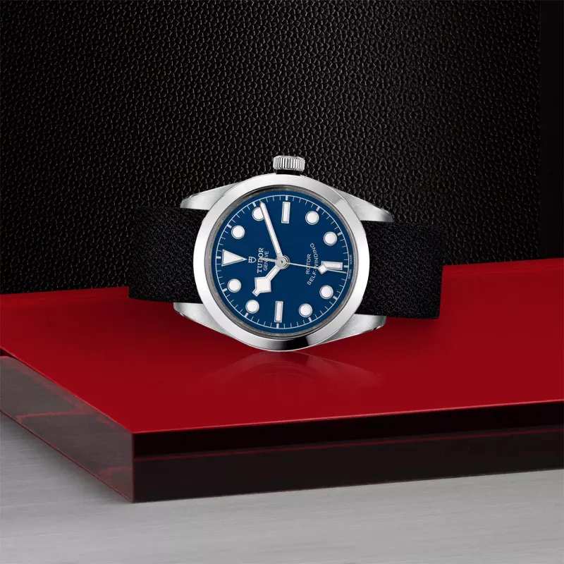 Tudor Black Bay 36 M79500-0011