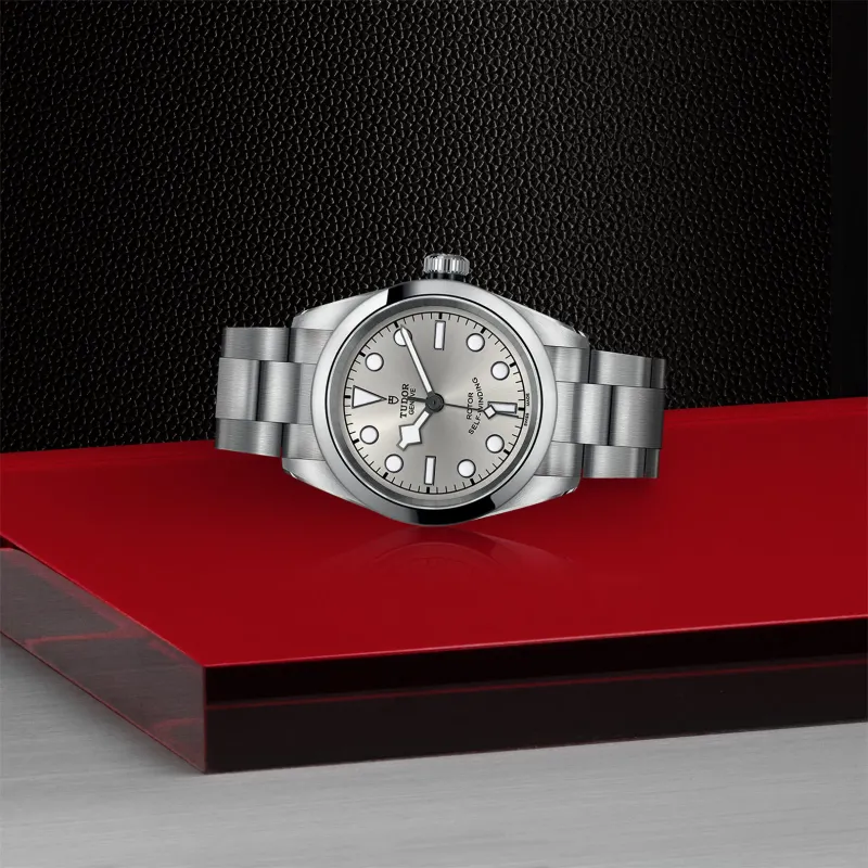 Tudor Black Bay 32 M79580-0007