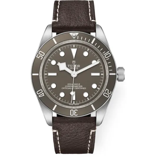 Tudor Black Bay 58 925 M79010SG-0001