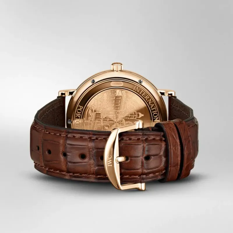 Iwc Schaffhausen Portofino IW356504