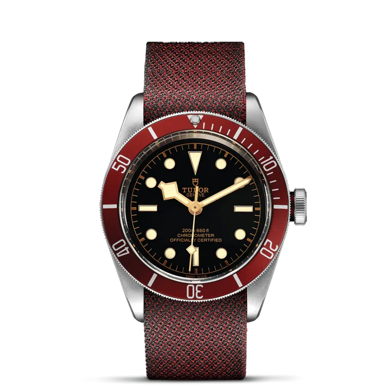 TUDOR Black Bay M79230R-0009