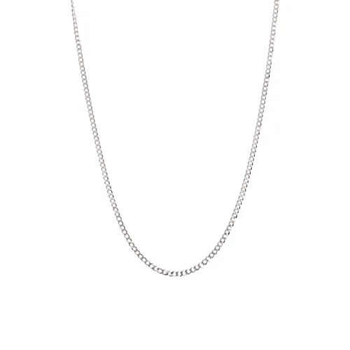 Image Silver Barbel Beat Back