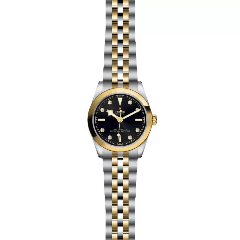 Tudor Black Bay 31 S&G M79603-0006
