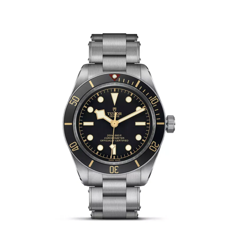 TUDOR Black Bay 58 79030N/72040PI