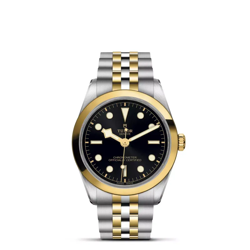 Tudor Black Bay 36 S&G M79643-0001