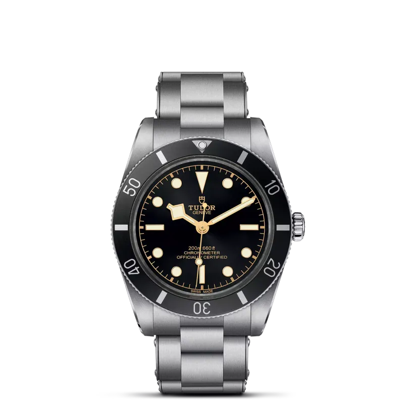 Tudor Black Bay 54 M79000N-0001