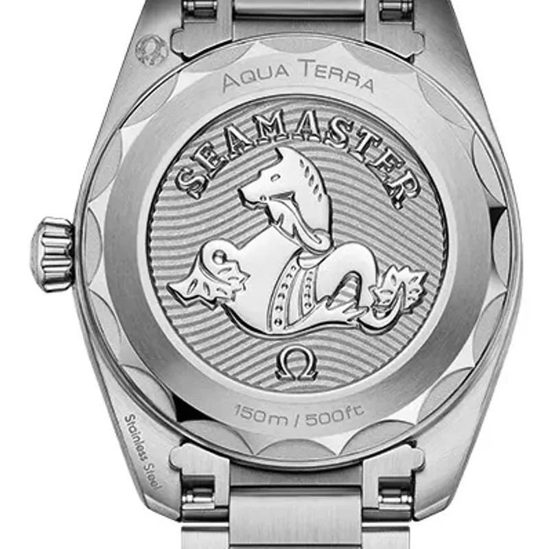 Omega Seamaster Aqua Terra 22010286055001