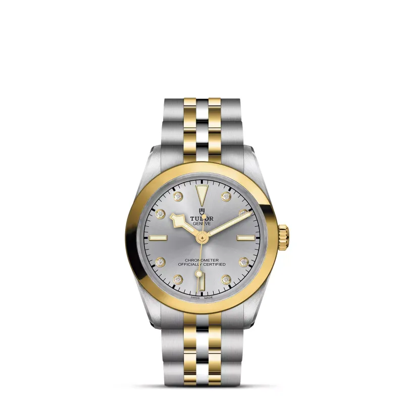 Tudor Black Bay 31 S&G M79603-0007