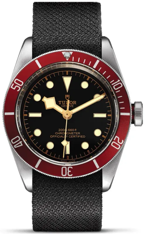 Tudor Black Bay 79230R/FAB.PI
