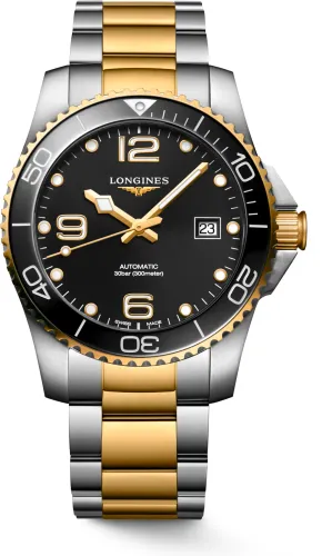Hydroconquest                                               