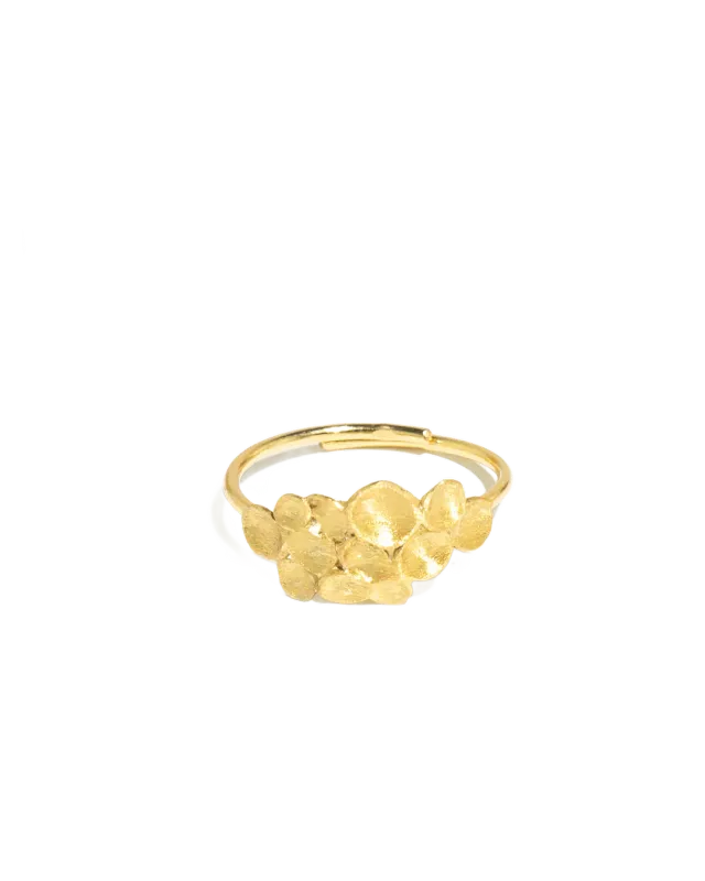 Mesh Ring Simone ANE358