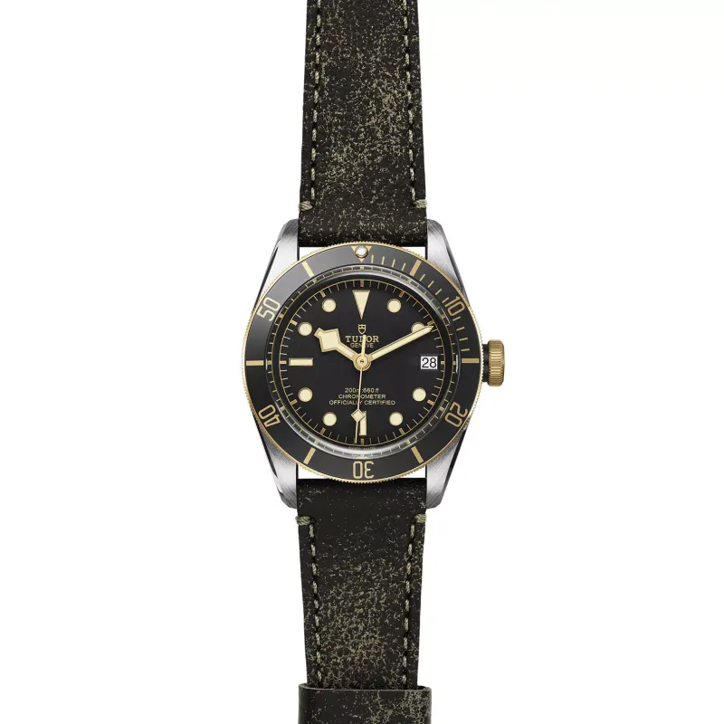 Tudor Black Bay S&G M79733N-0007