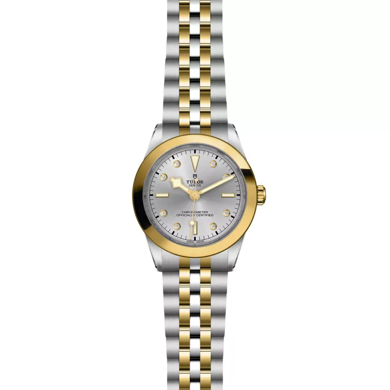 Tudor Black Bay 39 S&G M79663-0007