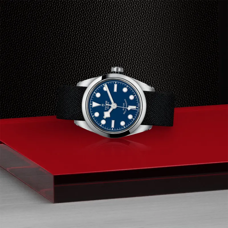 Tudor Black Bay 32 M79580-0006