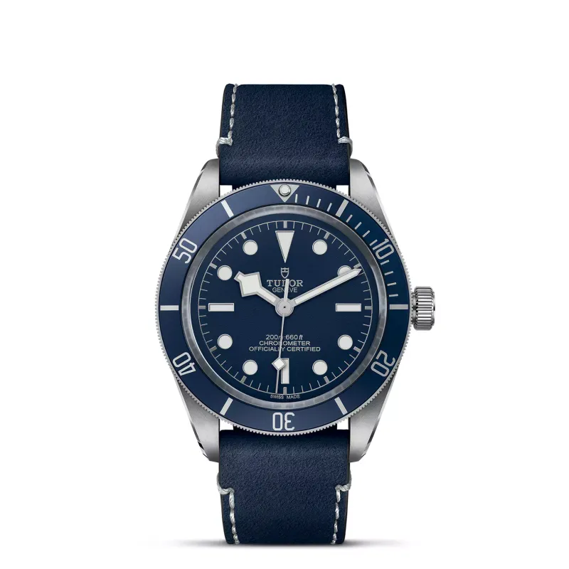 Tudor Black Bay 58 79030B/CALF.AI