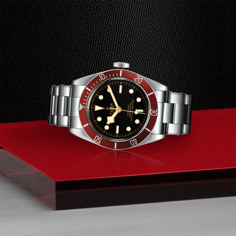 Tudor Black Bay 79230R/72060P