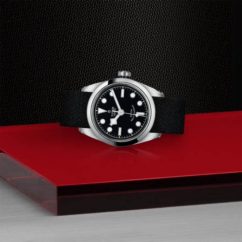 Tudor Black Bay 32 M79580-0005