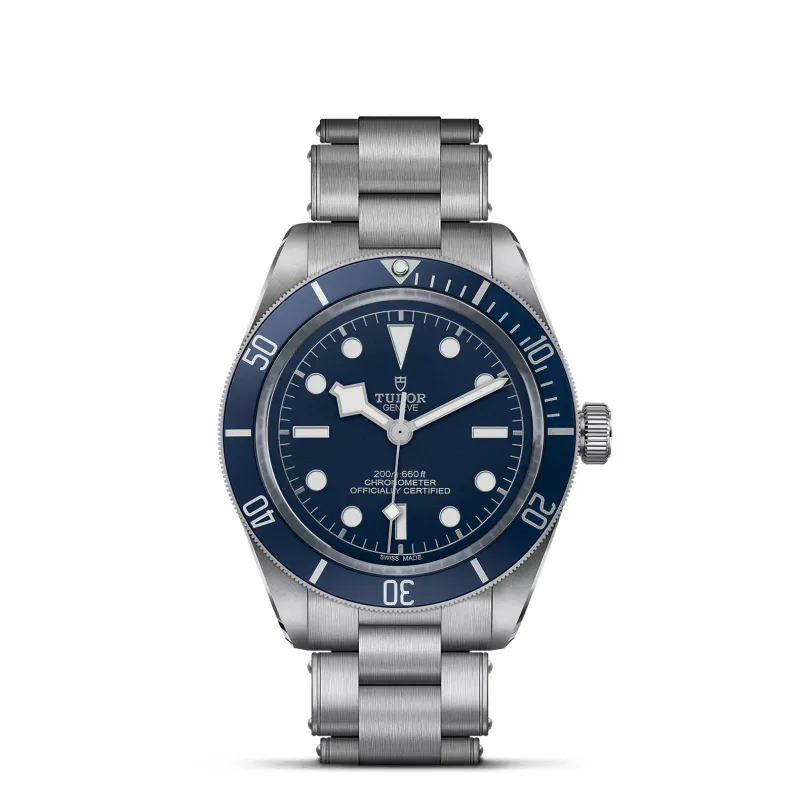 Tudor Black Bay 58 79030B/72040AI