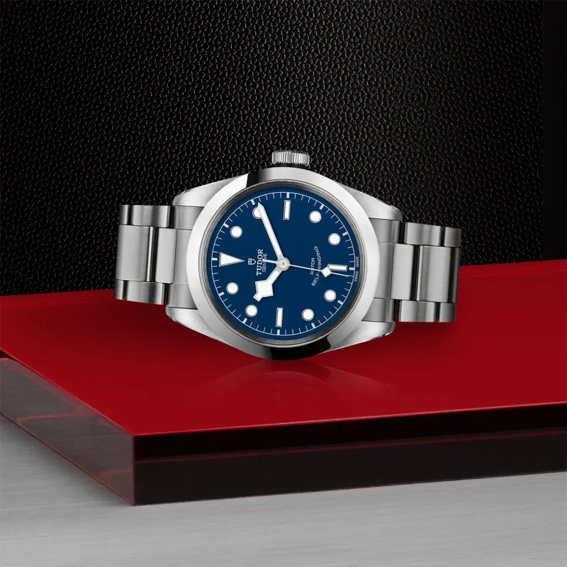 Tudor Black Bay 41 79540/95740AI