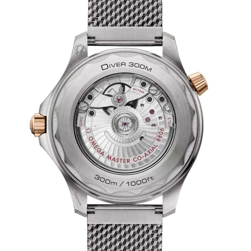 Omega Seamaster Diver 300M 21090422010001
