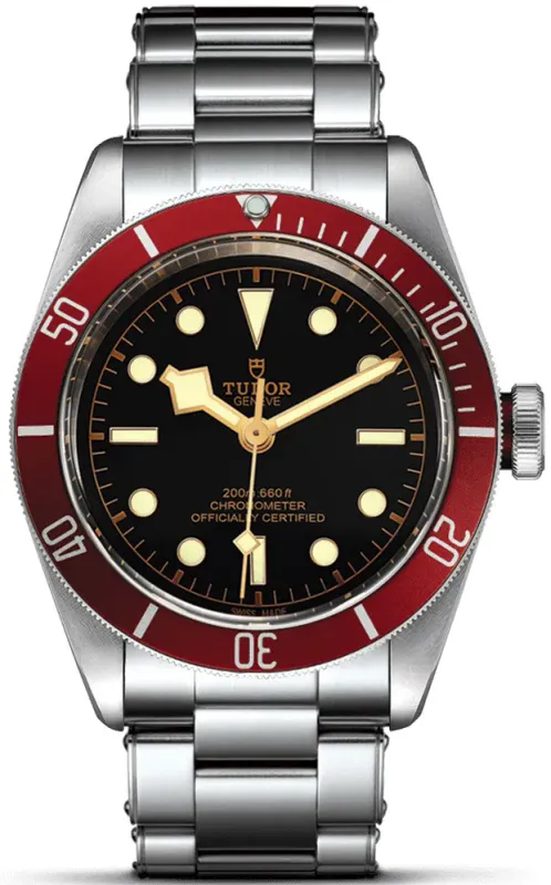TUDOR Black Bay 79230R/72060P