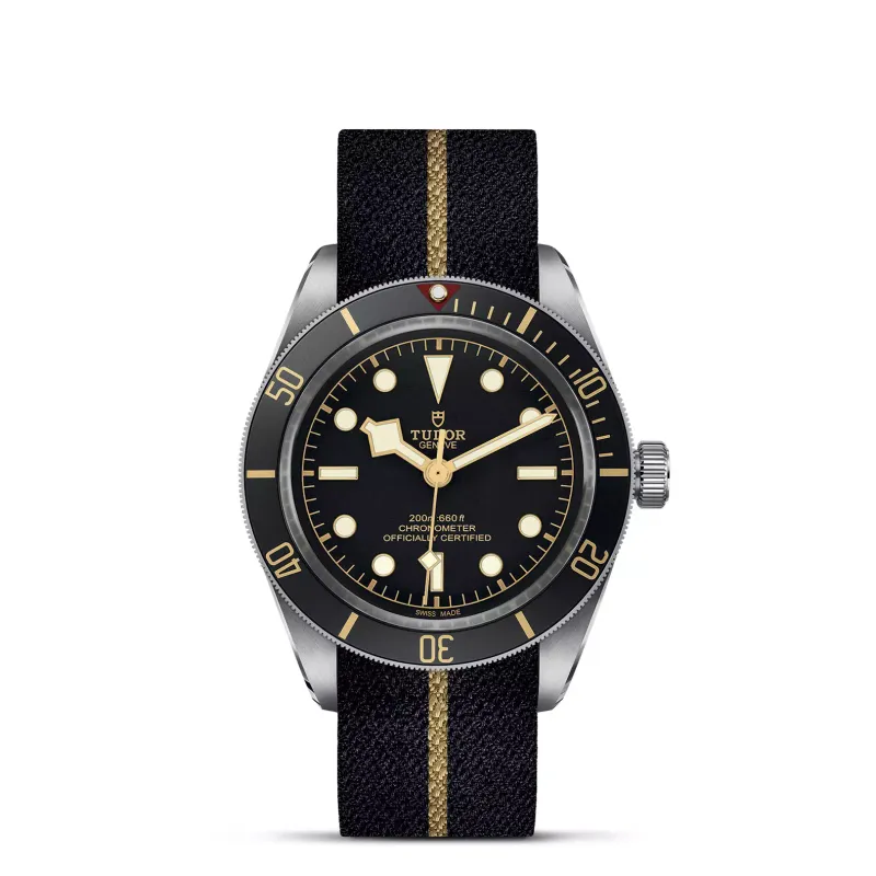 Tudor Black Bay 58 M79030N-0003