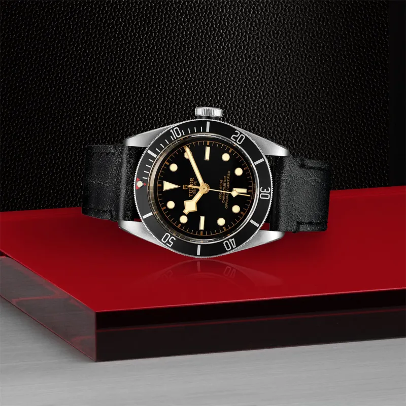 Tudor Black Bay M79230N-0008