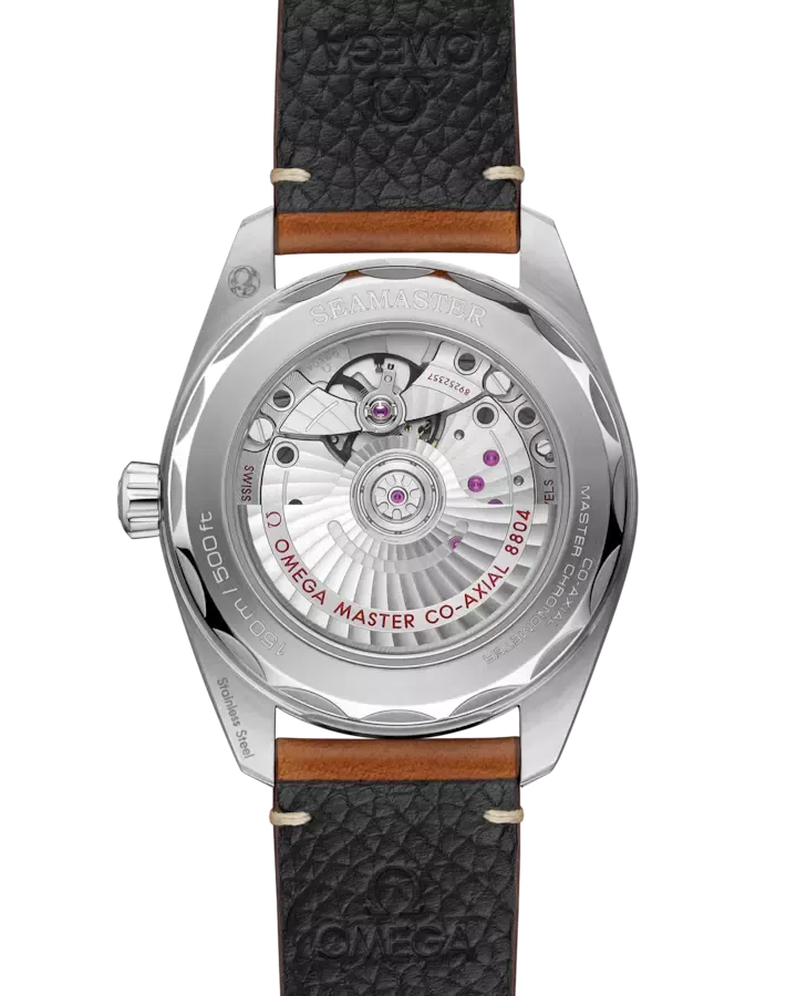 Imagem Seamaster Railmaster