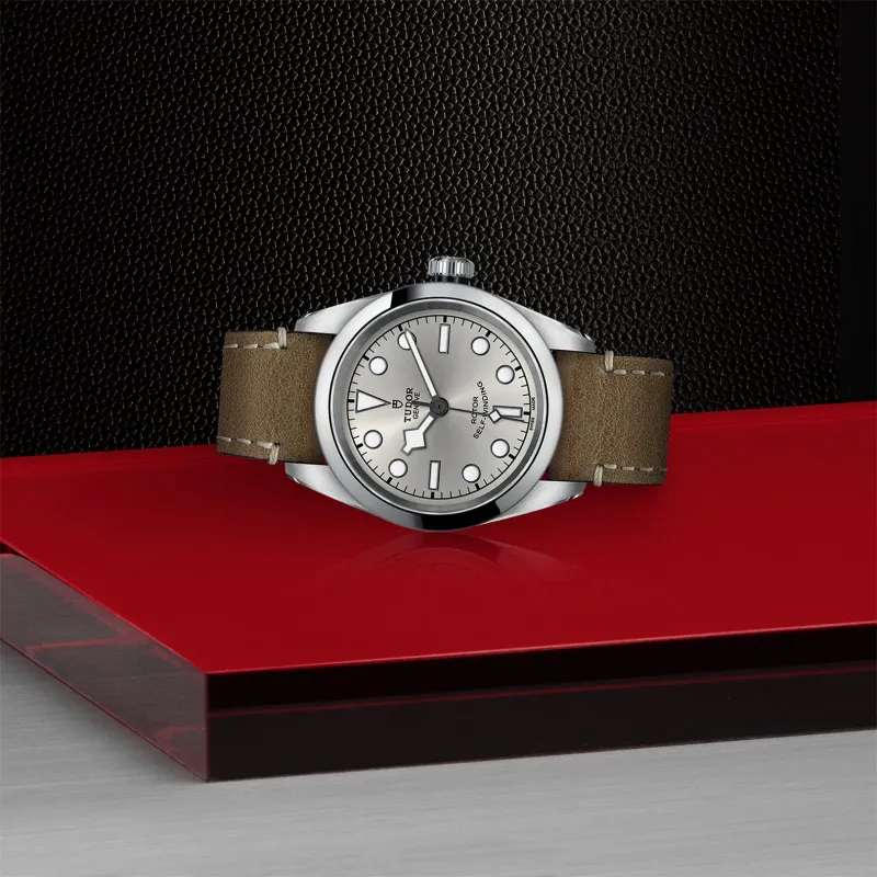 Tudor Black Bay 32 M79580-0009