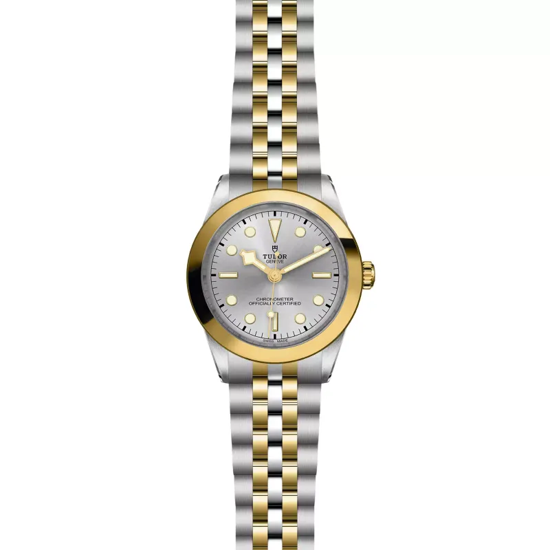 Tudor Black Bay 39 S&G M79663-0002