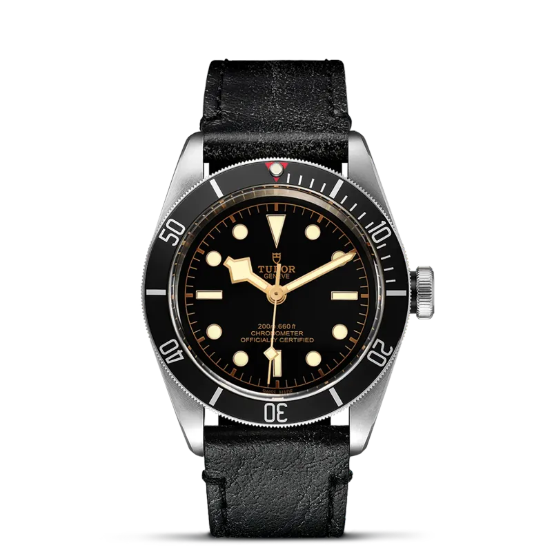 Tudor Black Bay M79230N-0008