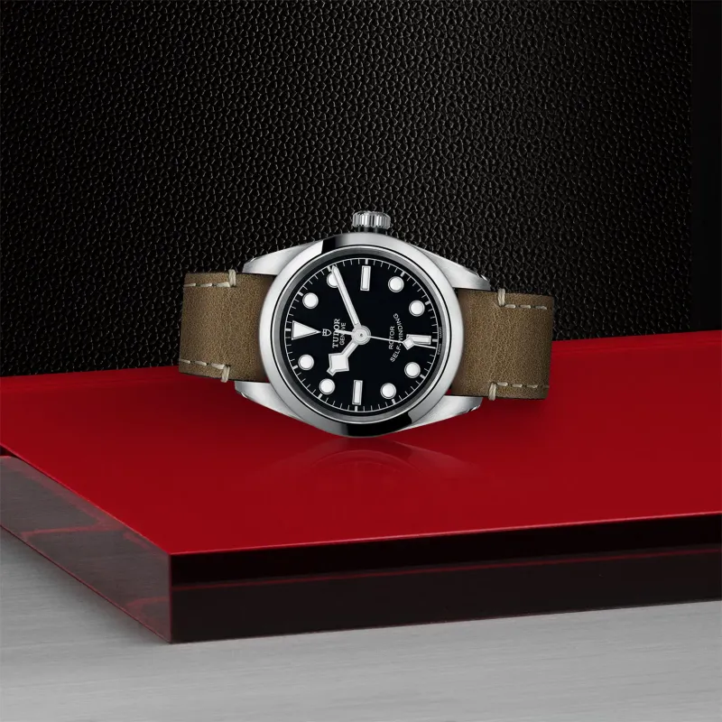 Tudor Black Bay 32 M79580-0002