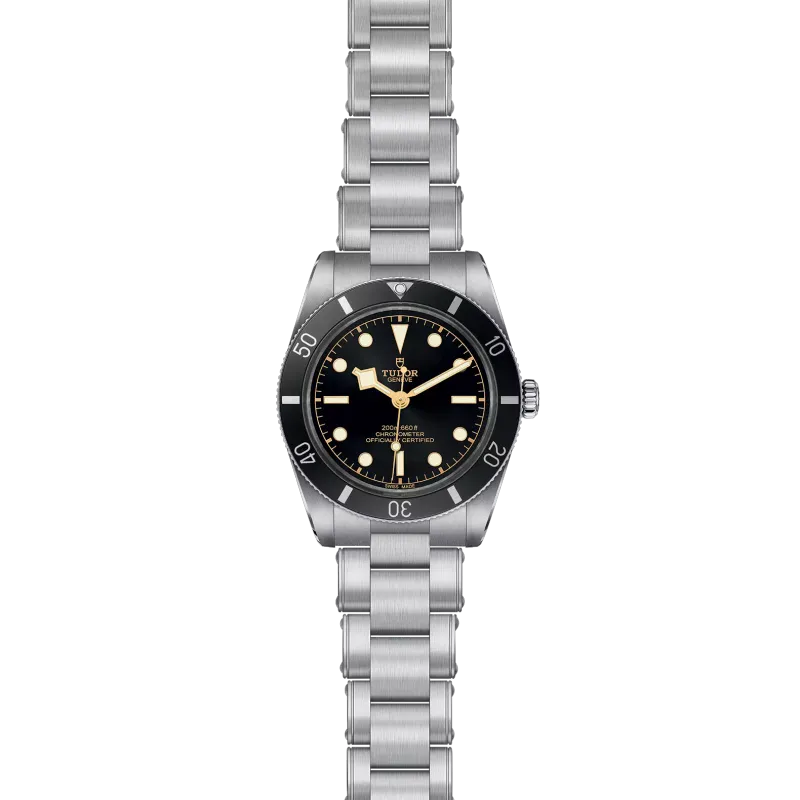 Tudor Black Bay 54 M79000N-0001