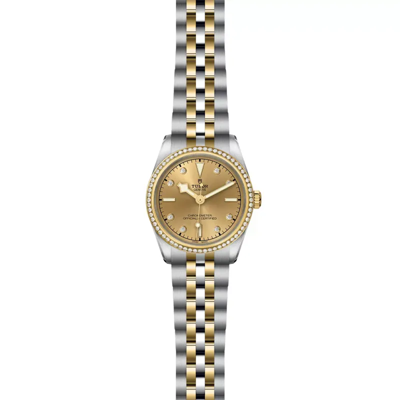 Tudor Black Bay 31 S&G M79613-0007