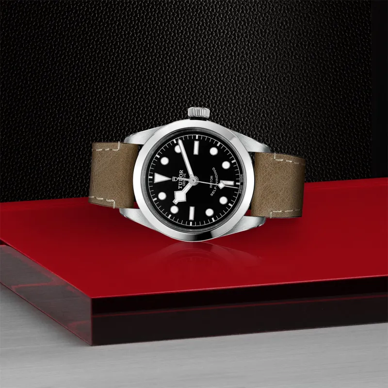 Tudor Black Bay 36 M79500-0008