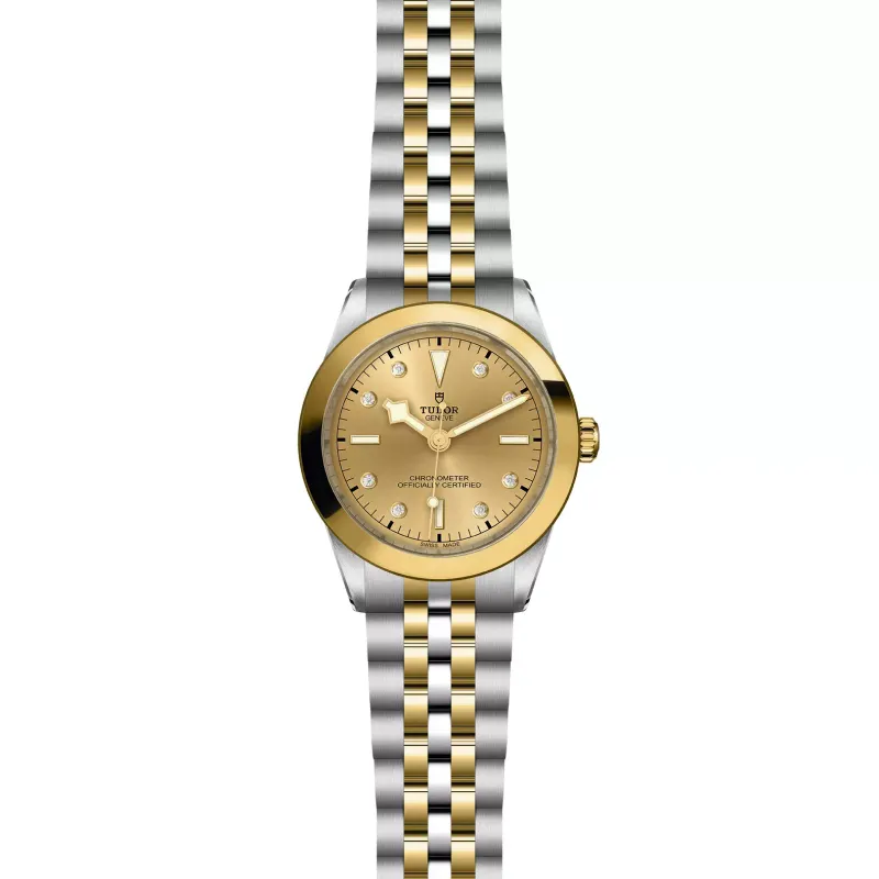 Tudor Black Bay 39 S&G M79663-0008