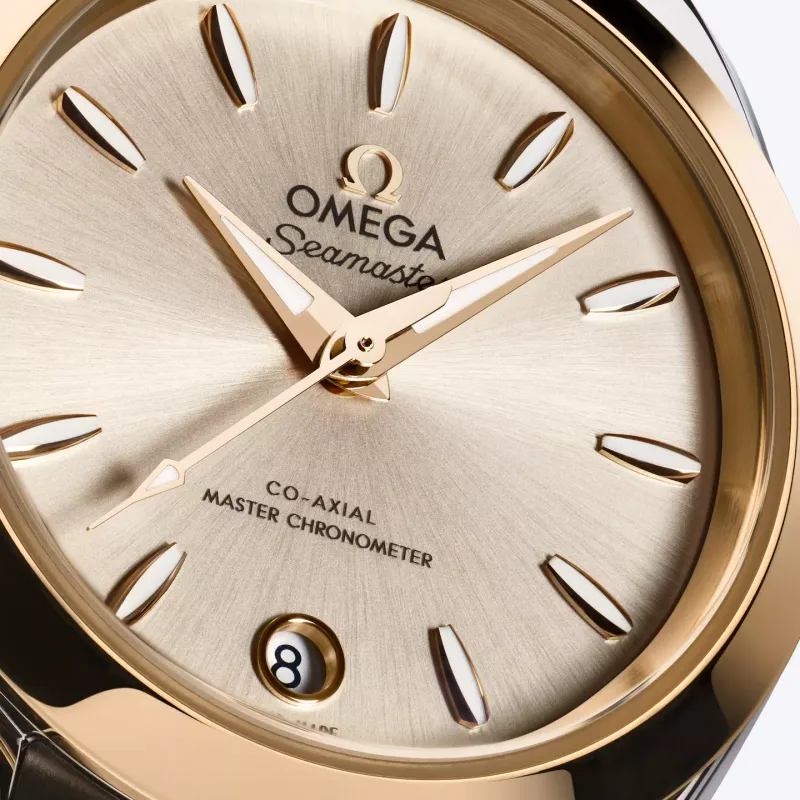 Omega Seamaster Aqua Terra 150M 22020302002001