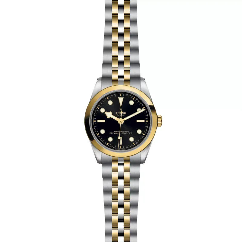 Tudor Black Bay 36 S&G M79643-0001